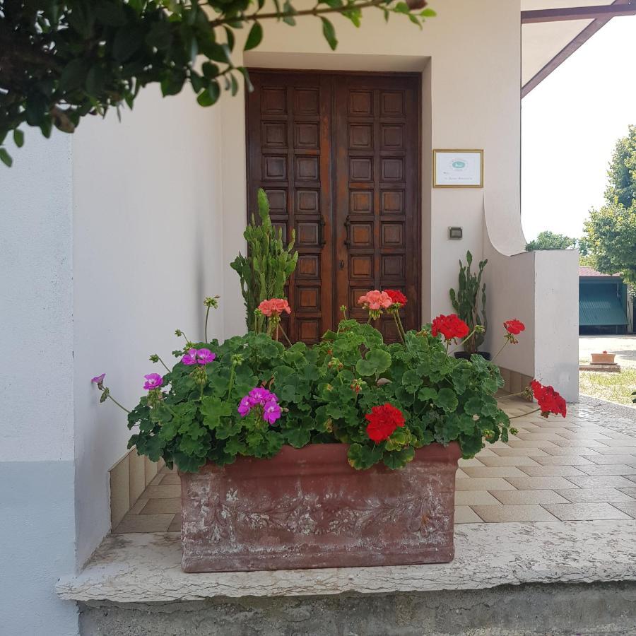 B & B Cedro Argentato Legnago Exterior foto